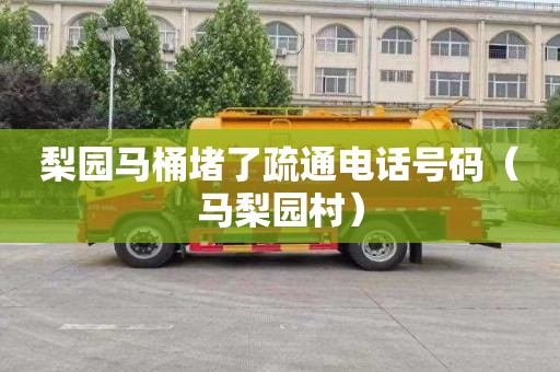 梨园马桶堵了疏通电话号码（马梨园村）