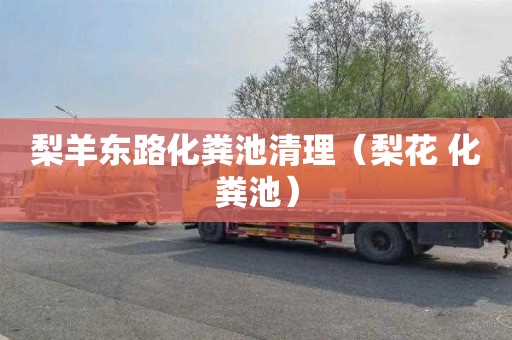 梨羊东路化粪池清理（梨花 化粪池）