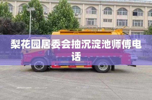 梨花园居委会抽沉淀池师傅电话