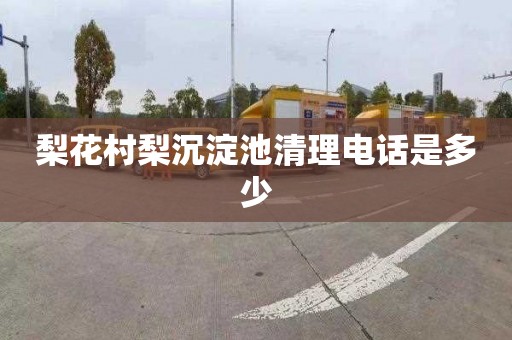 梨花村梨沉淀池清理电话是多少