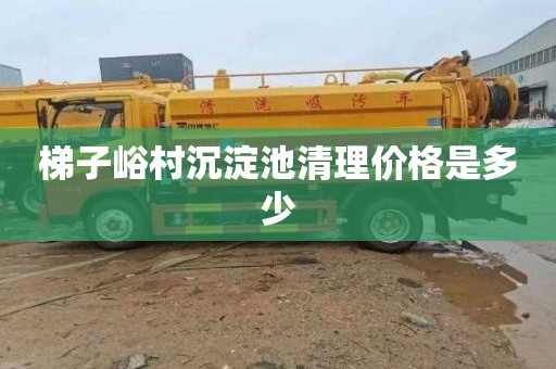 梯子峪村沉淀池清理价格是多少