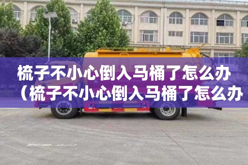 梳子不小心倒入马桶了怎么办（梳子不小心倒入马桶了怎么办呢）