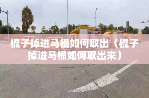 梳子掉进马桶如何取出（梳子掉进马桶如何取出来）