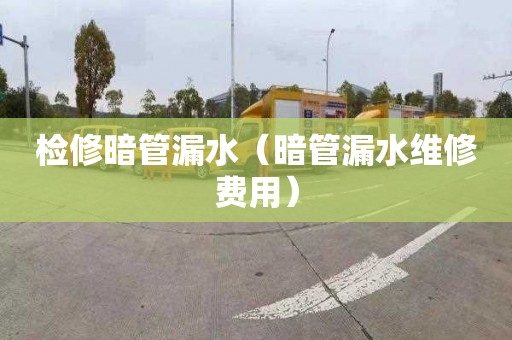 检修暗管漏水（暗管漏水维修费用）