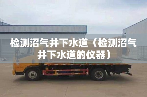 检测沼气井下水道（检测沼气井下水道的仪器）