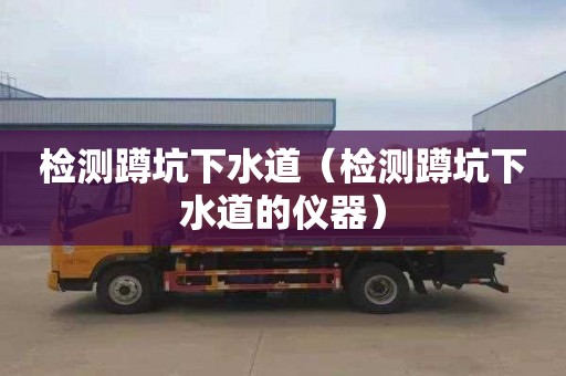 检测蹲坑下水道（检测蹲坑下水道的仪器）