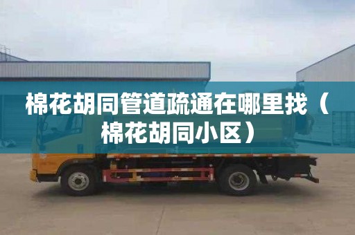 棉花胡同管道疏通在哪里找（棉花胡同小区）
