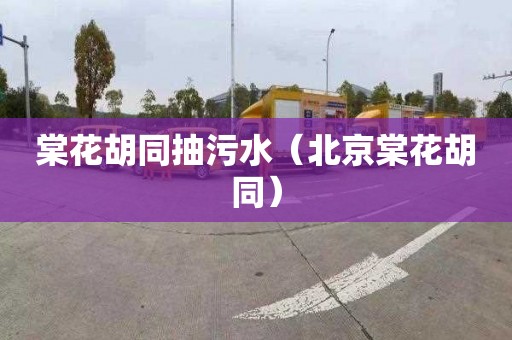 棠花胡同抽污水（北京棠花胡同）