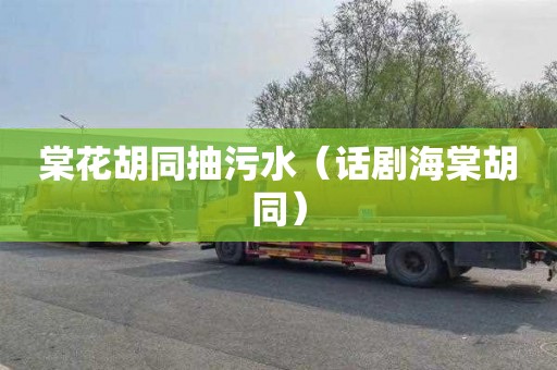 棠花胡同抽污水（话剧海棠胡同）