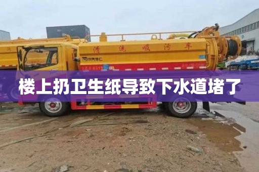 楼上扔卫生纸导致下水道堵了