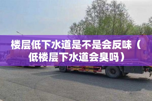 楼层低下水道是不是会反味（低楼层下水道会臭吗）