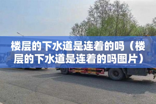 楼层的下水道是连着的吗（楼层的下水道是连着的吗图片）