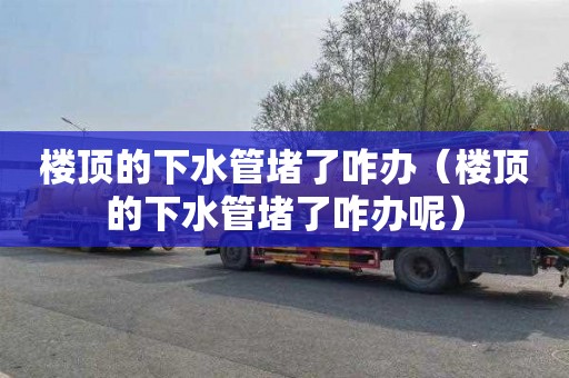 楼顶的下水管堵了咋办（楼顶的下水管堵了咋办呢）