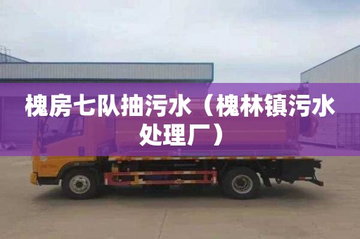 槐房七队抽污水（槐林镇污水处理厂）