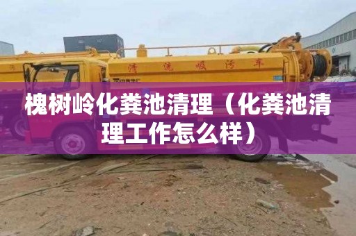 槐树岭化粪池清理（化粪池清理工作怎么样）