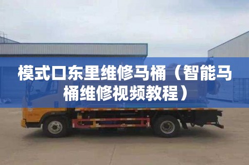 模式口东里维修马桶（智能马桶维修视频教程）
