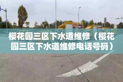 樱花园三区下水道维修（樱花园三区下水道维修电话号码）
