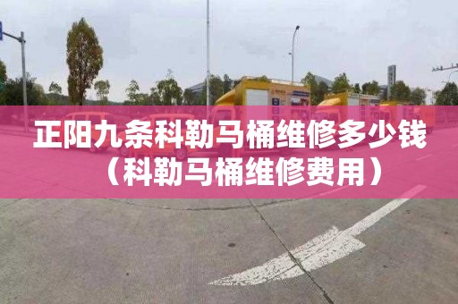 正阳九条科勒马桶维修多少钱（科勒马桶维修费用）