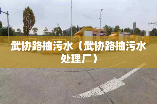 武协路抽污水（武协路抽污水处理厂）
