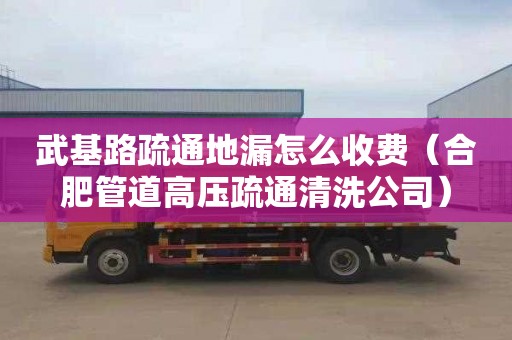 武基路疏通地漏怎么收费（合肥管道高压疏通清洗公司）