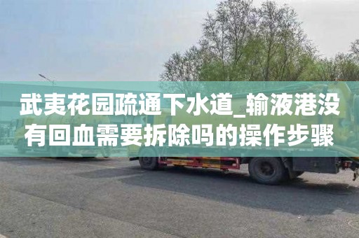武夷花园疏通下水道_输液港没有回血需要拆除吗的操作步骤