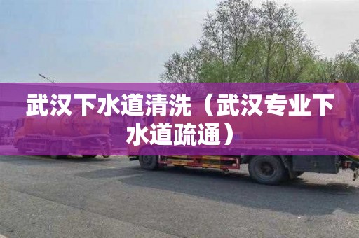 武汉下水道清洗（武汉专业下水道疏通）