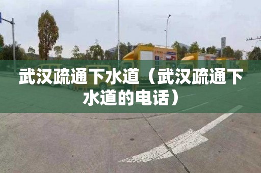 武汉疏通下水道（武汉疏通下水道的电话）