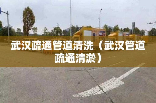 武汉疏通管道清洗（武汉管道疏通清淤）