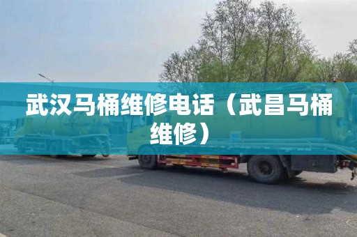武汉马桶维修电话（武昌马桶维修）
