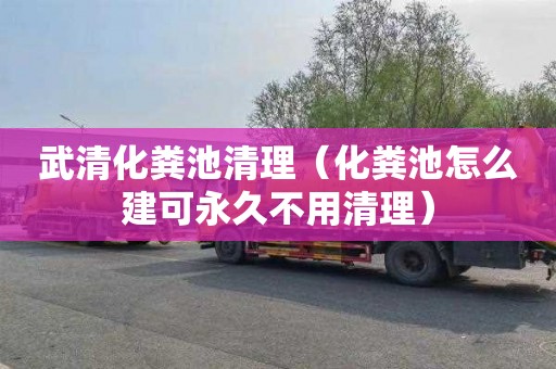 武清化粪池清理（化粪池怎么建可永久不用清理）