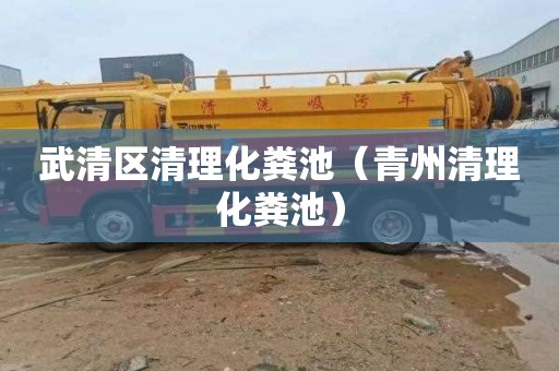 武清区清理化粪池（青州清理化粪池）