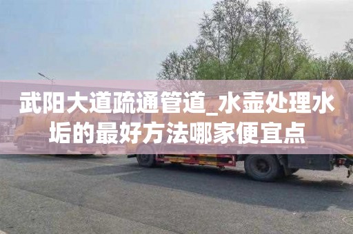 武阳大道疏通管道_水壶处理水垢的最好方法哪家便宜点