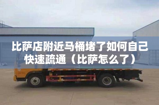 比萨店附近马桶堵了如何自己快速疏通（比萨怎么了）
