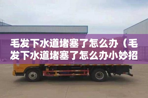 毛发下水道堵塞了怎么办（毛发下水道堵塞了怎么办小妙招）