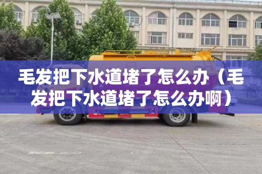 毛发把下水道堵了怎么办（毛发把下水道堵了怎么办啊）