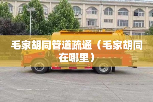 毛家胡同管道疏通（毛家胡同在哪里）