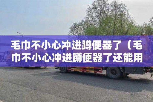 毛巾不小心冲进蹲便器了（毛巾不小心冲进蹲便器了还能用吗）