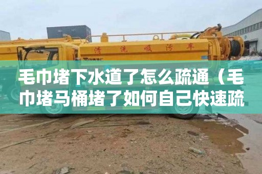 毛巾堵下水道了怎么疏通（毛巾堵马桶堵了如何自己快速疏通）