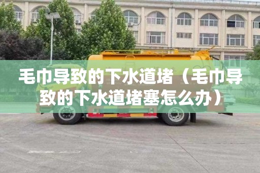毛巾导致的下水道堵（毛巾导致的下水道堵塞怎么办）