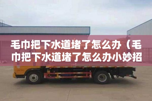 毛巾把下水道堵了怎么办（毛巾把下水道堵了怎么办小妙招）