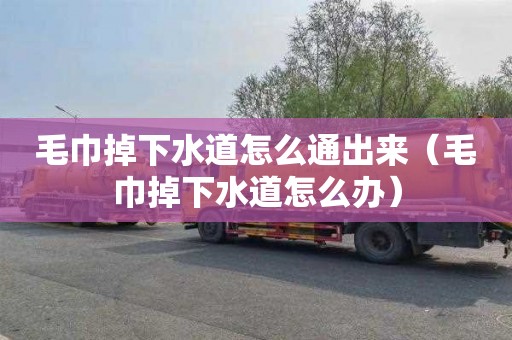 毛巾掉下水道怎么通出来（毛巾掉下水道怎么办）