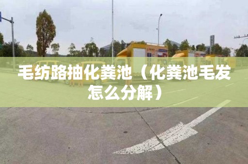毛纺路抽化粪池（化粪池毛发怎么分解）