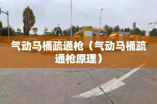 气动马桶疏通枪（气动马桶疏通枪原理）