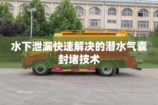 水下泄漏快速解决的潜水气囊封堵技术