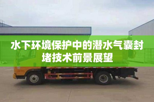 水下环境保护中的潜水气囊封堵技术前景展望