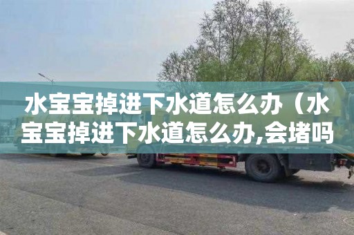 水宝宝掉进下水道怎么办（水宝宝掉进下水道怎么办,会堵吗?）