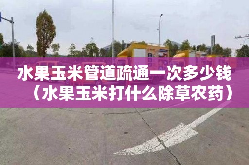 水果玉米管道疏通一次多少钱（水果玉米打什么除草农药）