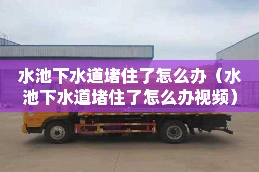 水池下水道堵住了怎么办（水池下水道堵住了怎么办视频）