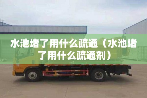 水池堵了用什么疏通（水池堵了用什么疏通剂）