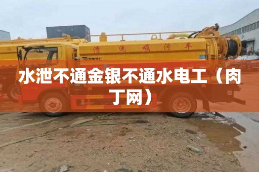 水泄不通金银不通水电工（肉丁网）